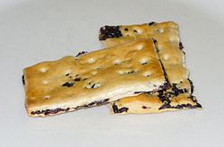 Garibaldi biscuit
